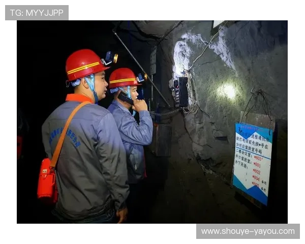 线上百家乐的合法性与风险控制：专家为您详细解答安全保障措施